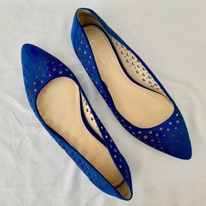 Royal Blue Calvin Klein Flats